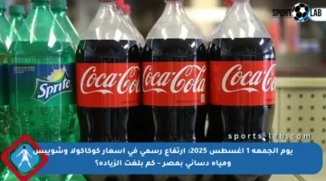 يوم الجمعة 1 أغسطس 2025: ارتفاع رسمي في أسعار كوكاكولا وشويبس ومياه دساني بمصر – كم بلغت الزيادة؟